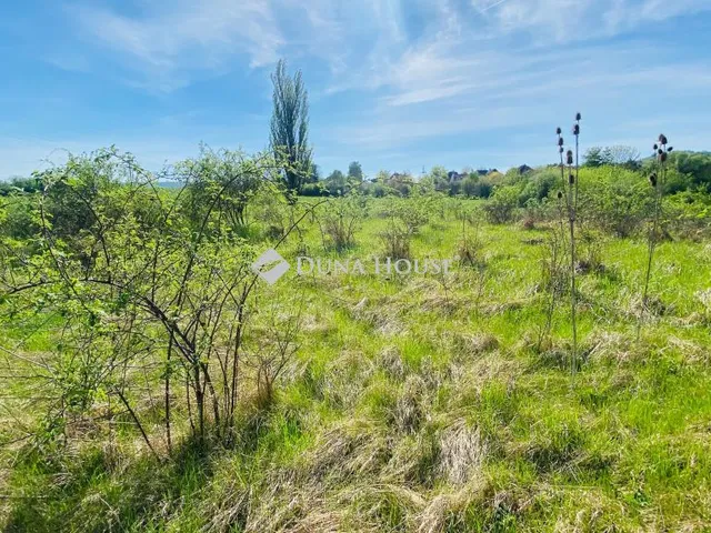 Eladó telek Pomáz, Czimer Tibor utca 1000 nm