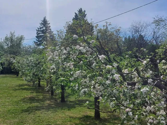 Eladó telek Szentendre 1117 nm