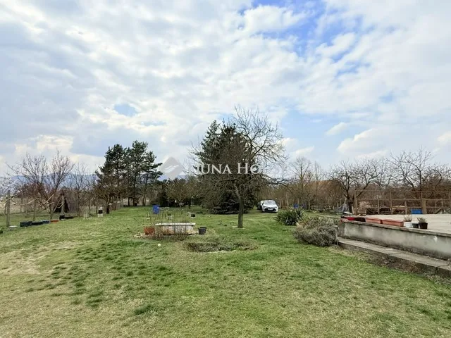 Eladó ház Tahitótfalu, Jóság III. dűlő 171 nm