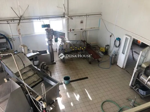Eladó mezőgazdasági ingatlan Nyírtelek 270000 nm