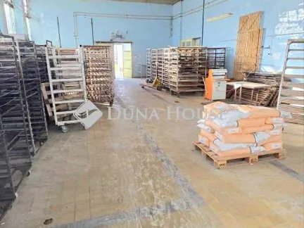 Kiadó kereskedelmi és ipari ingatlan Nagykálló 1100 nm