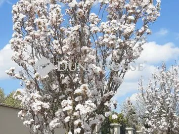 Eladó ház Nyíregyháza 660 nm