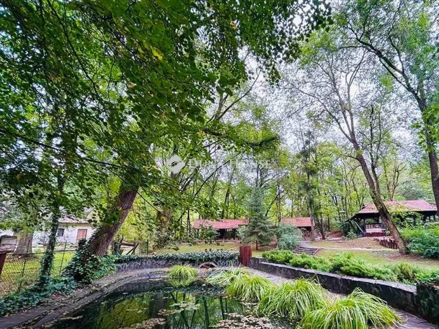 Eladó kereskedelmi és ipari ingatlan Tornyospálca 650 nm