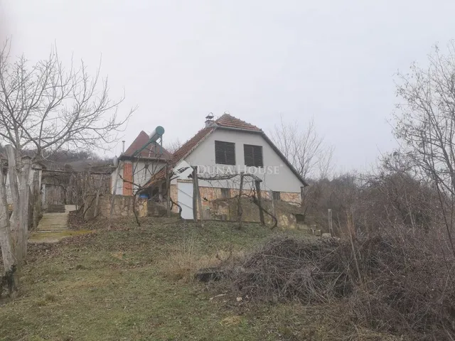 Eladó telek Tokaj 3000 nm