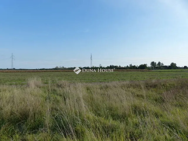 Eladó telek Délegyháza 22780 nm
