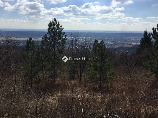 Eladó telek Budaörs, Őzike utca 3159 nm