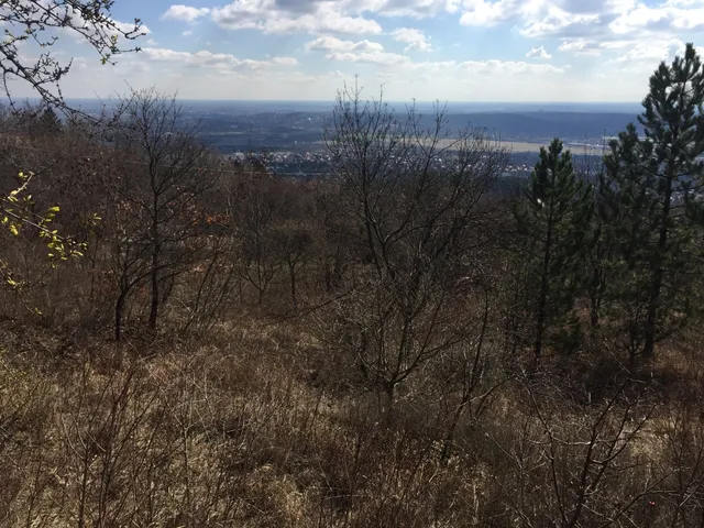 Eladó telek Budaörs 3159 nm