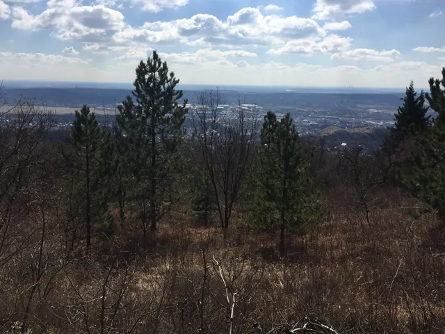 Eladó telek Budaörs 3159 nm