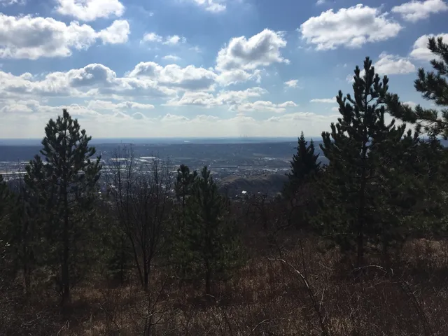 Eladó telek Budaörs 3159 nm