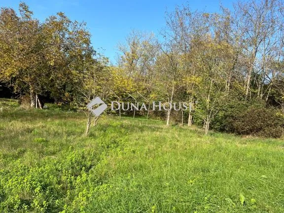 Eladó telek Kajászó 3933 nm
