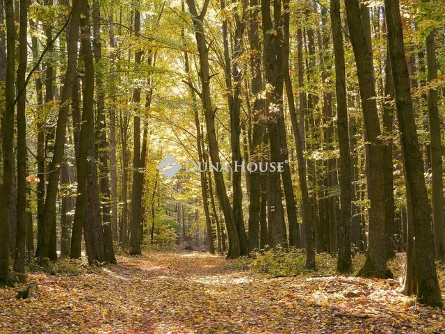 Eladó mezőgazdasági ingatlan Újlengyel