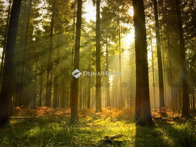 Eladó mezőgazdasági ingatlan Újlengyel, Dánosi dűlő