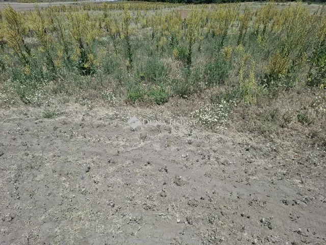 Eladó telek Újszilvás 2113 nm