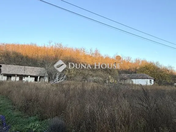 Eladó telek Gomba 3716 nm