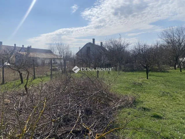 Eladó telek Szalkszentmárton 1195 nm