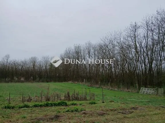 Eladó telek Dánszentmiklós 6448 nm