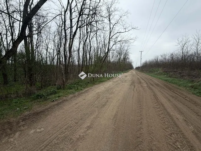 Eladó telek Dánszentmiklós 6448 nm