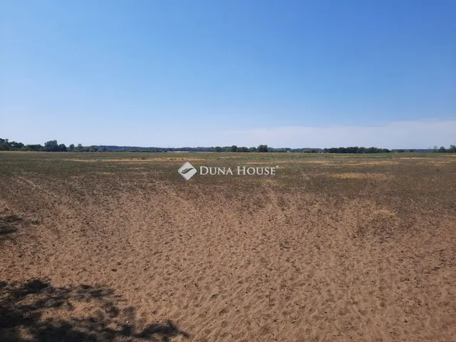 Eladó mezőgazdasági ingatlan Dabas 93570 nm