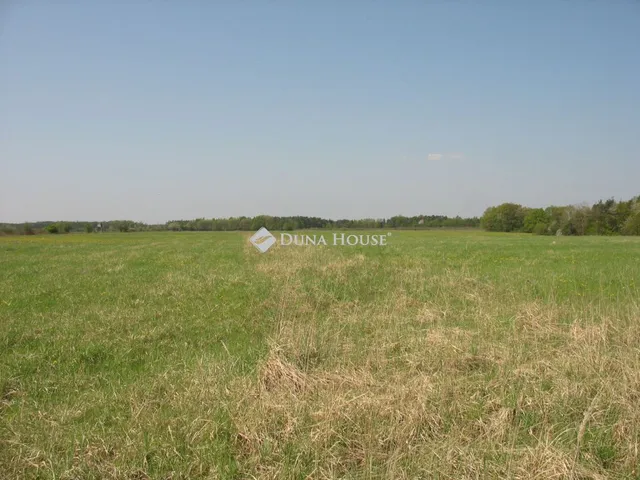 Eladó mezőgazdasági ingatlan Dabas 91007 nm