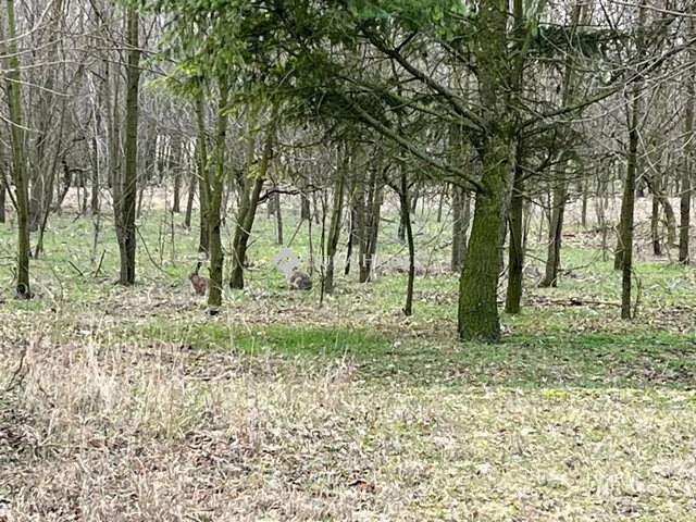 Eladó telek Kerekegyháza, Kaszatanya dűlő 127930 nm
