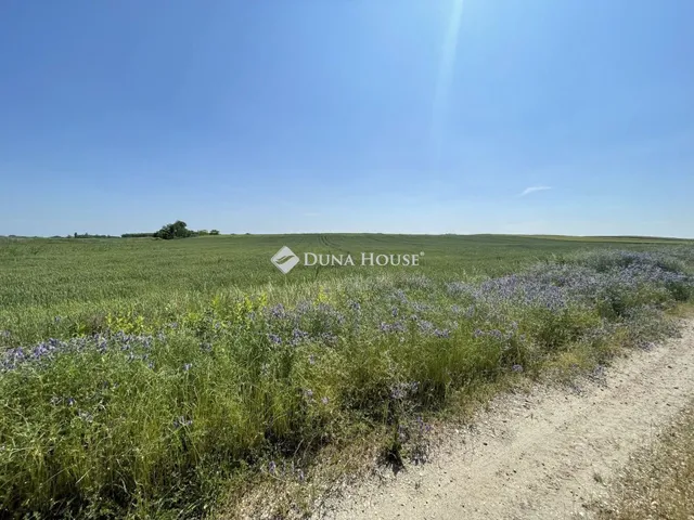 Eladó telek Kecskemét, Nincs utca 9730 nm