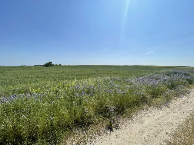 Eladó telek Kecskemét, Nincs utca 9730 nm