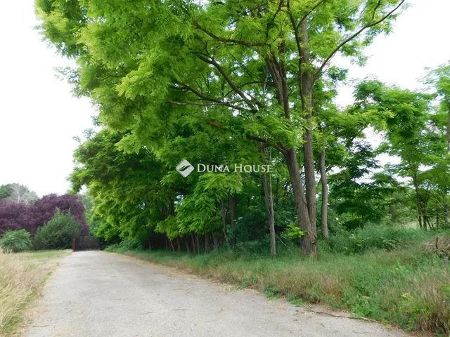Eladó telek Kecskemét 3000 nm