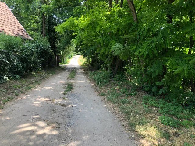 Eladó telek Kecskemét 1991 nm