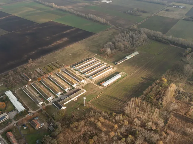 Eladó kereskedelmi és ipari ingatlan Tiszaalpár 52306 nm