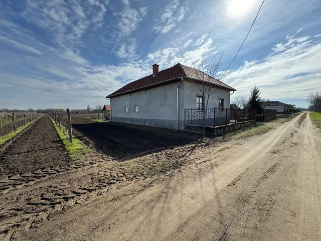 Eladó mezőgazdasági ingatlan Tiszakürt 73 nm