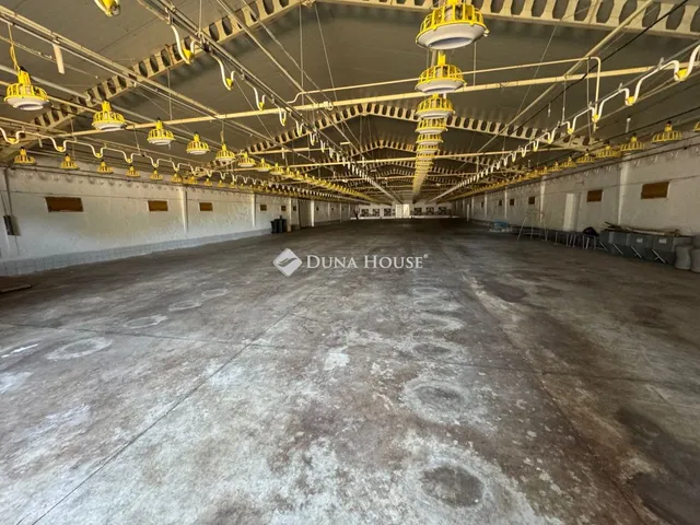 Kiadó kereskedelmi és ipari ingatlan Lajosmizse 1000 nm