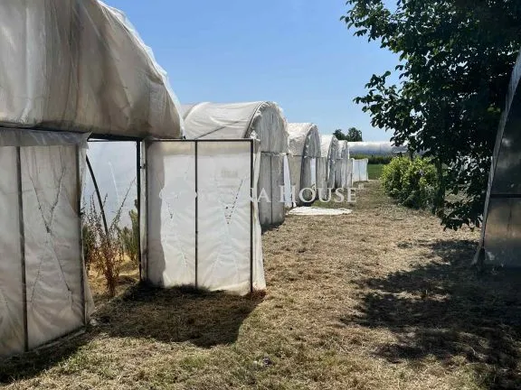 Eladó mezőgazdasági ingatlan Nagykőrös 70 nm