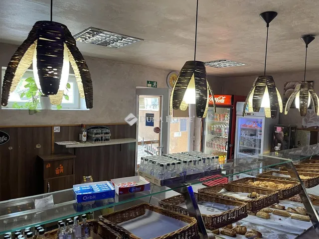 Eladó kereskedelmi és ipari ingatlan Tápiószele, Ceglédi út 160 nm