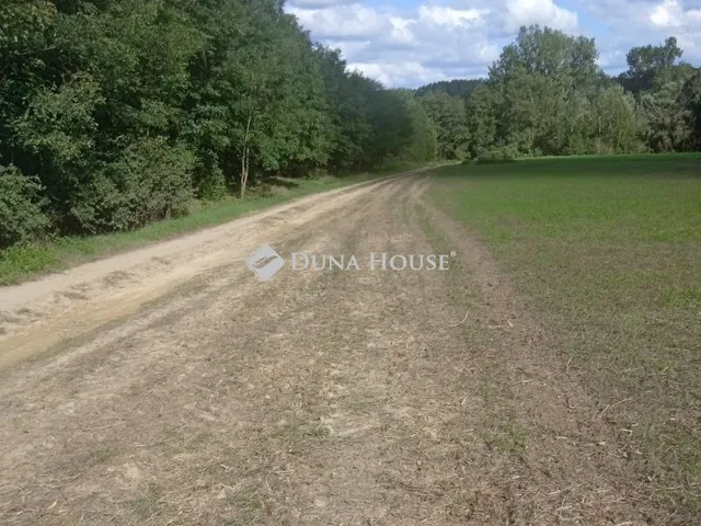 Eladó mezőgazdasági ingatlan Pamuk 36500 nm
