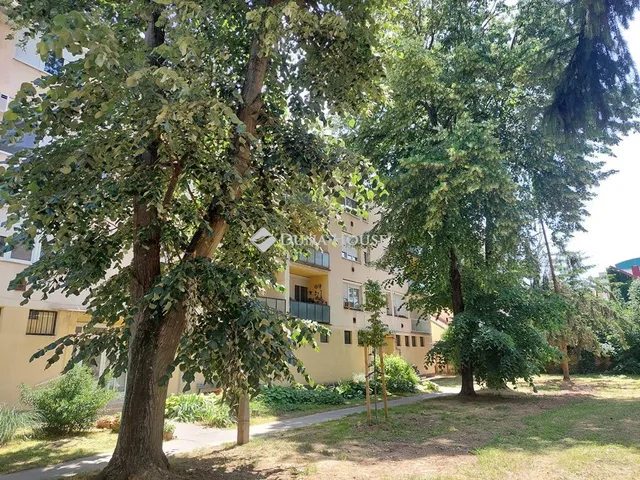 Kiadó lakás Kaposvár 55 nm