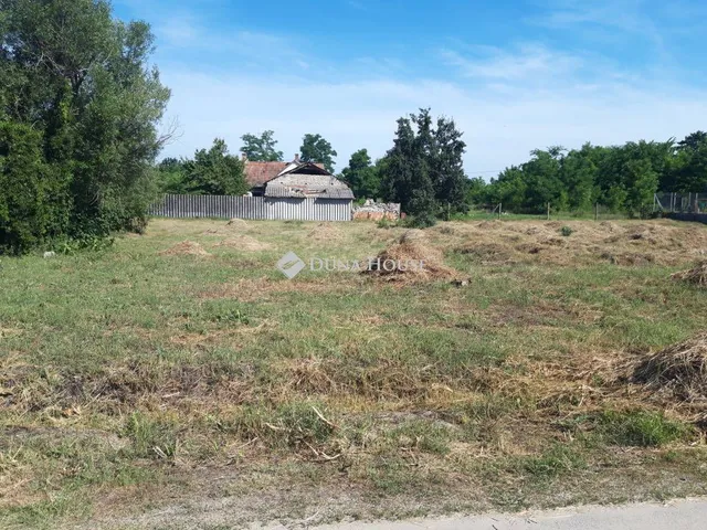 Eladó telek Kiskunhalas, Iparszőlők útja 1295 nm