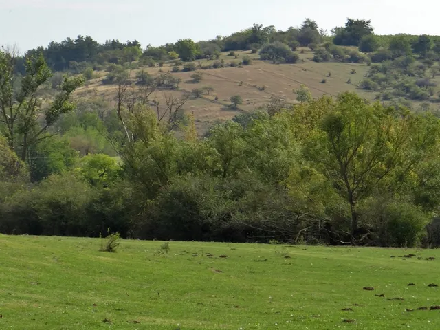 Eladó mezőgazdasági ingatlan Paks 192763 nm