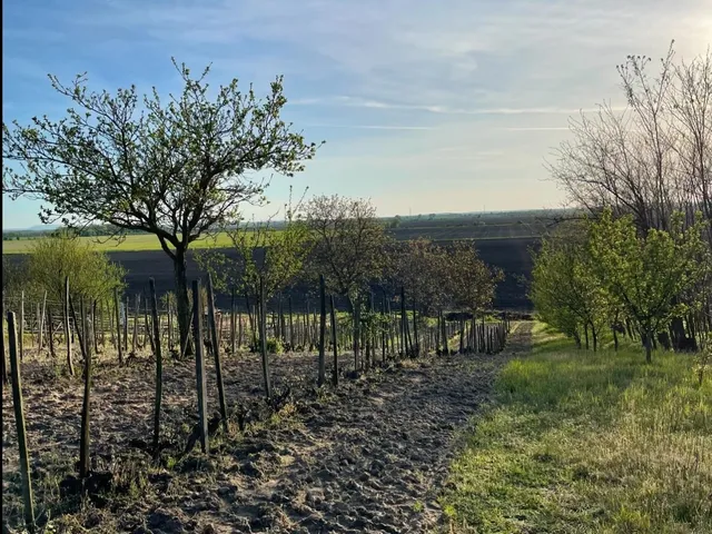 Eladó telek Tárkány 1700 nm