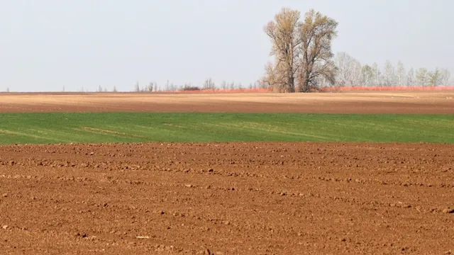 Eladó telek Hódmezővásárhely 1243 nm