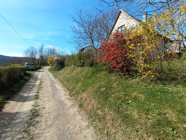 Eladó mezőgazdasági ingatlan Sásd 30 nm