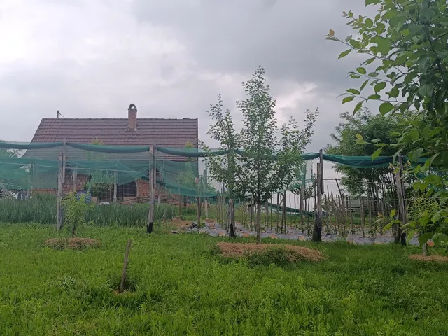 Eladó mezőgazdasági ingatlan Sásd 50 nm
