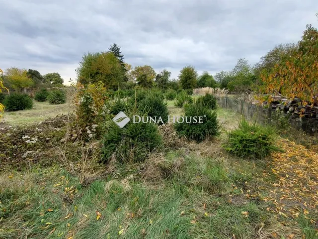 Eladó ház Kocsola, Ady Endre utca 79 nm