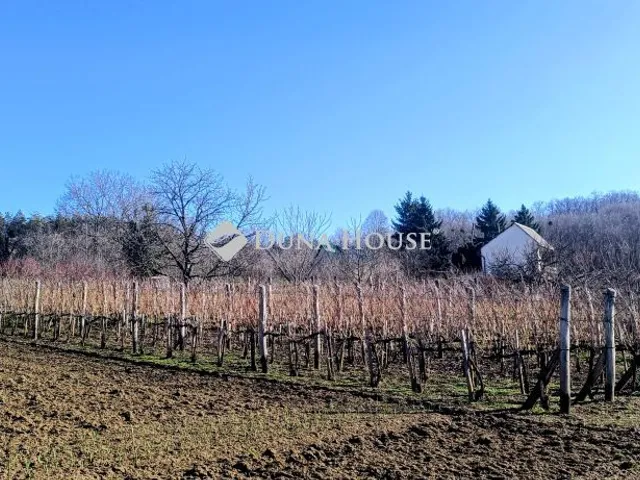 Eladó mezőgazdasági ingatlan Vázsnok, Zártkert 50 nm