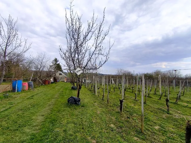Eladó mezőgazdasági ingatlan Igal 47 nm