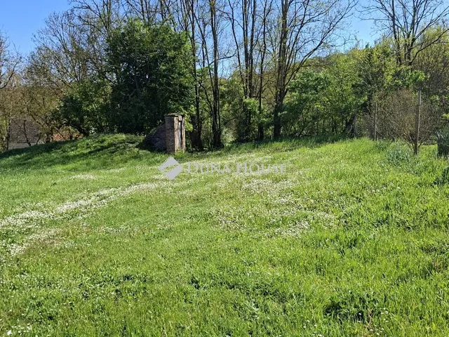 Eladó telek Varga, Fő utca 518 nm