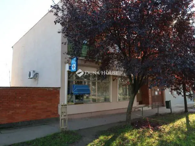 Eladó kereskedelmi és ipari ingatlan Madaras 85 nm