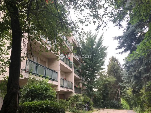 Kiadó lakás Budapest XII. kerület, Árnyas út 42 nm
