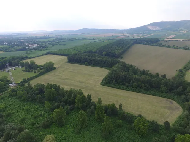 Eladó telek Harkány 100000 nm