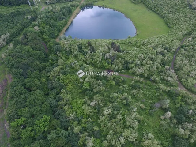Eladó kereskedelmi és ipari ingatlan Pécs 14469 nm