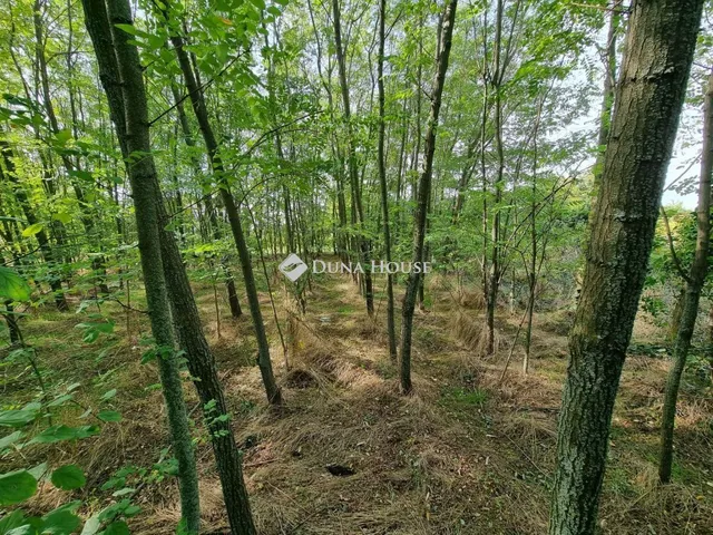 Eladó telek Szigetvár 1168 nm